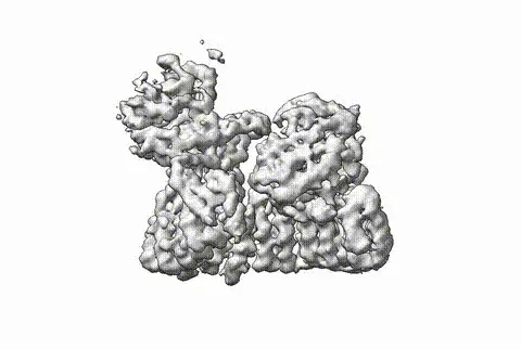 Figure from: Cryo-EM structures reveal the PP2A–B55α and Eya3 interaction that can be disrupted by a peptide inhibitor