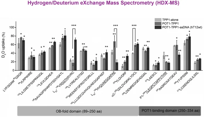 Hydrogen/Deuterium Exchange Mass Spectrometry (HDX-MS) example data
