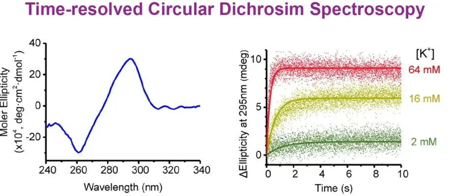 Time-resolved Circular Dichroism Spectroscopy example data