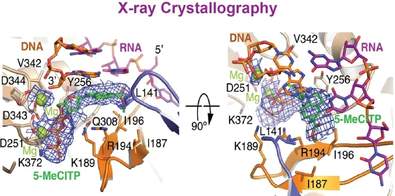 X-ray Crystallography example data